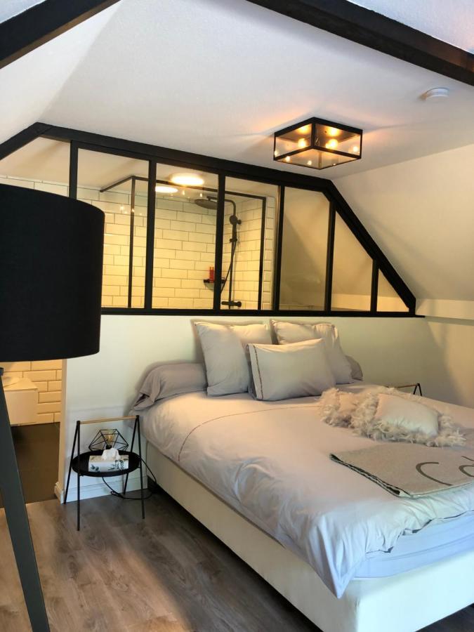 Jardin Du Marais Bed & Breakfast Froyennes Luaran gambar